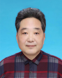 Prof. Jun Wang